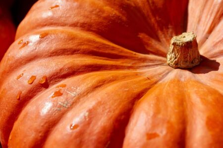 Najlepsze filmy na Halloween