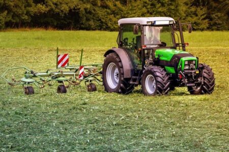 Skup zbóż – co warto wiedzieć?