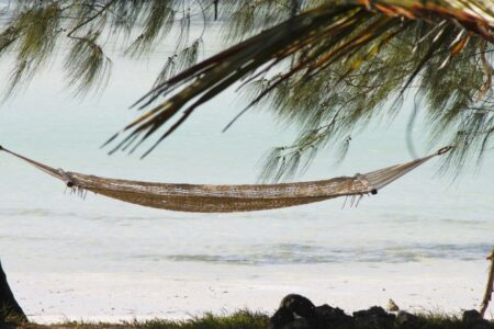 Beztroskie wakacje na wyspie Zanzibar