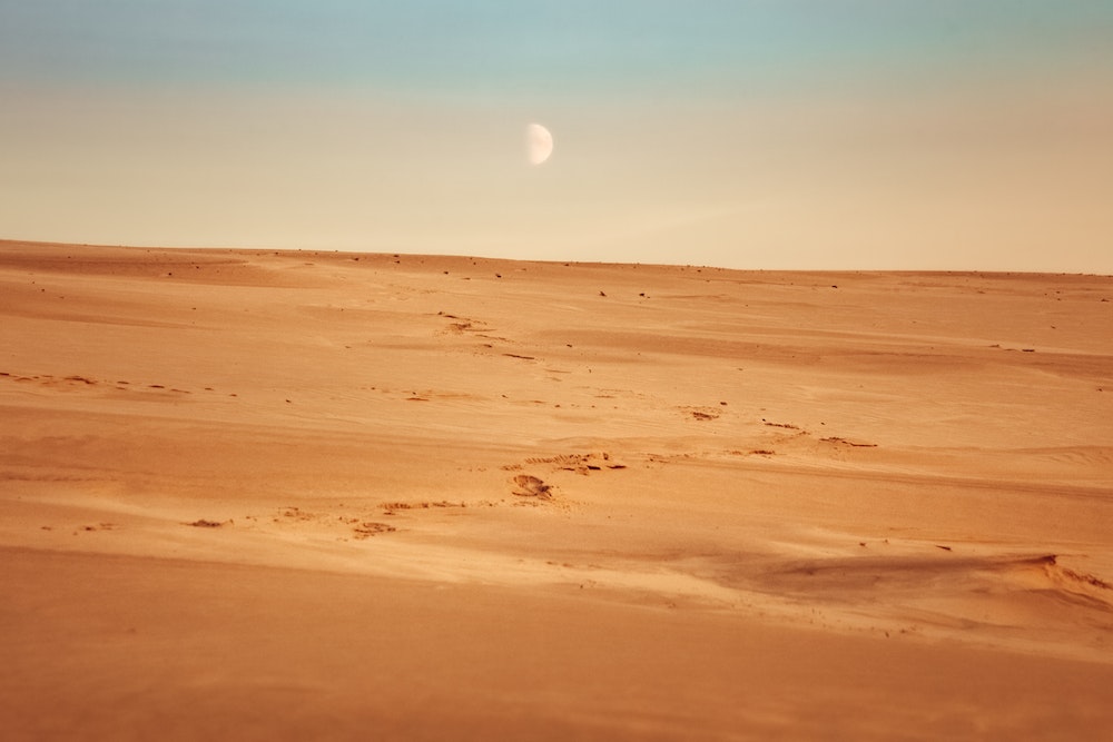 Meleksem na wydmy Łeby: Ciekawa opcja na spędzenie czasu