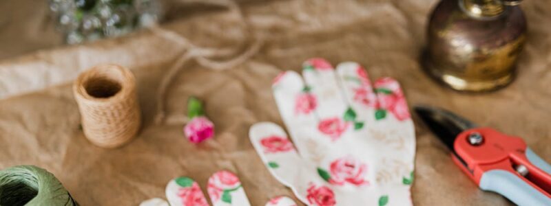 Eksploruj różnorodność roślin w naszej szkółce