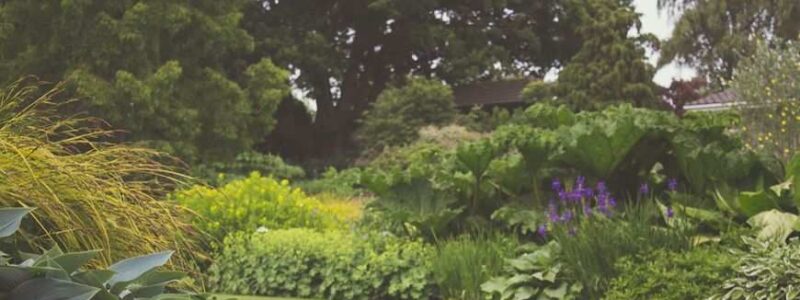 Pergole do ogrodu: Co warto wiedzieć przed zakupem