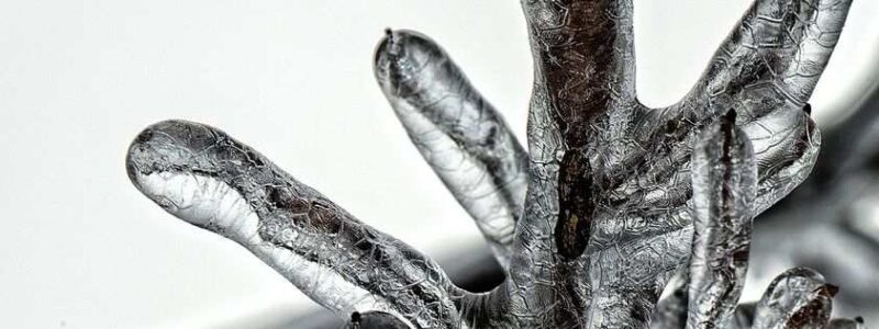 Komory mroźnicze w ujęciu technicznym