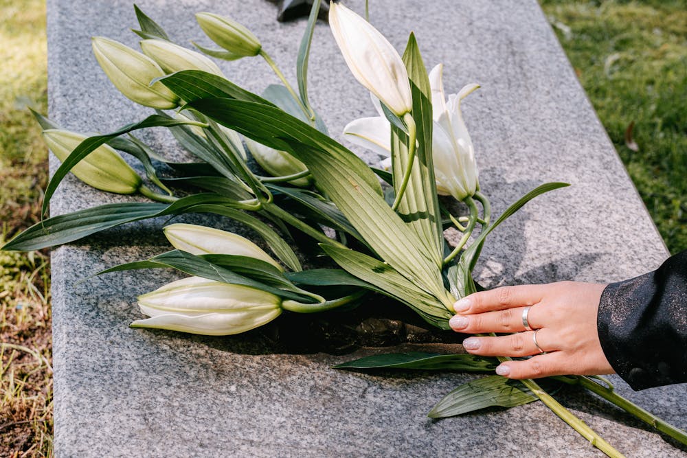Zakłady pogrzebowe w kontekście organizacji pochówku