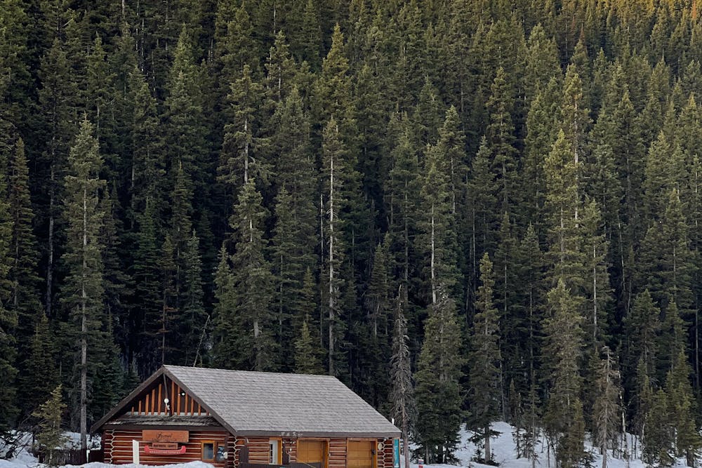 Kontrola stanu technicznego domu z drewna