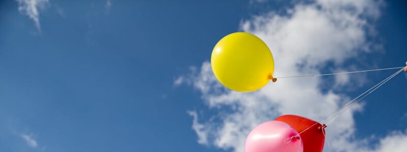 Rodzaje dmuchańców dla najmłodszych